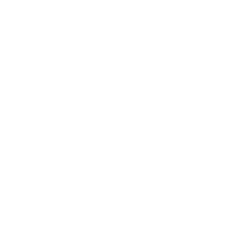 Servicios y gestión